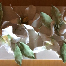 White Magnolia