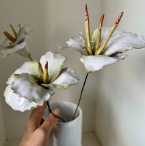 Fiori e Ferro 2024