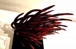 CORALS AND WIND