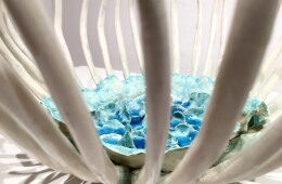 Il mare in trappola: detail