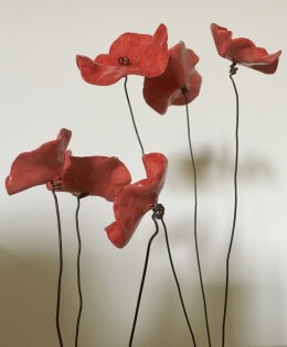 Poppies