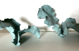 Farfalle 2