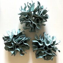 Petali Del Mare