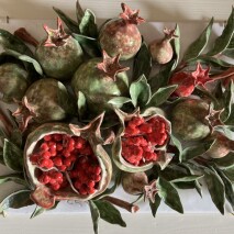 Pomegranate 2 autumn ’23