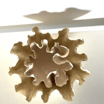 centrotavola in bianco diam cm 50 approx