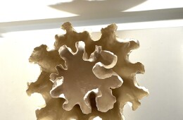 centrotavola in bianco diam cm 50 approx