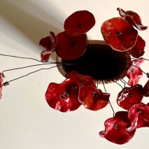 un mazzo di papaveri