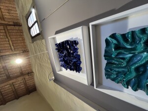 IMG_3785